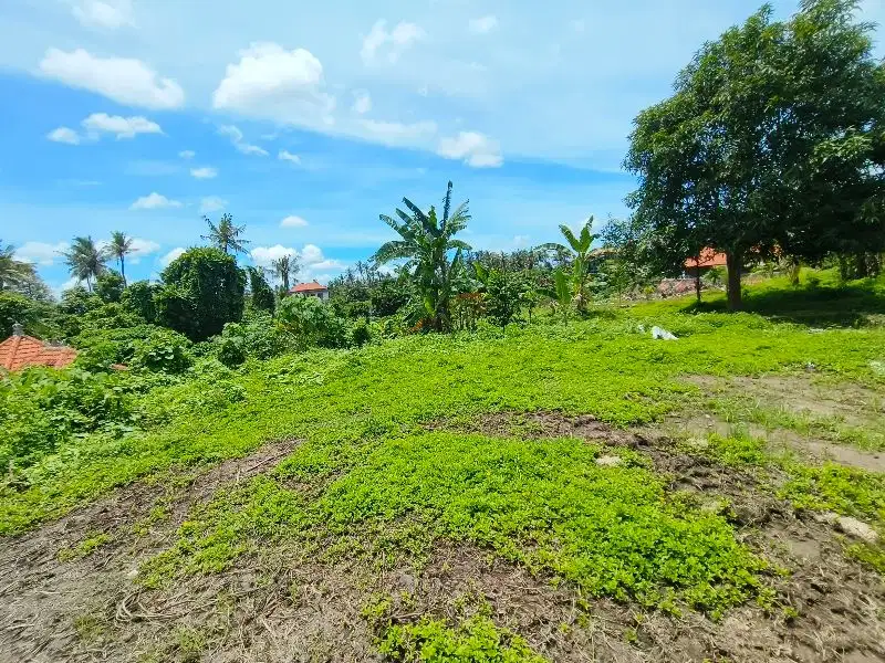 Di Jual Tanah Kemenuh Ubud View sunset