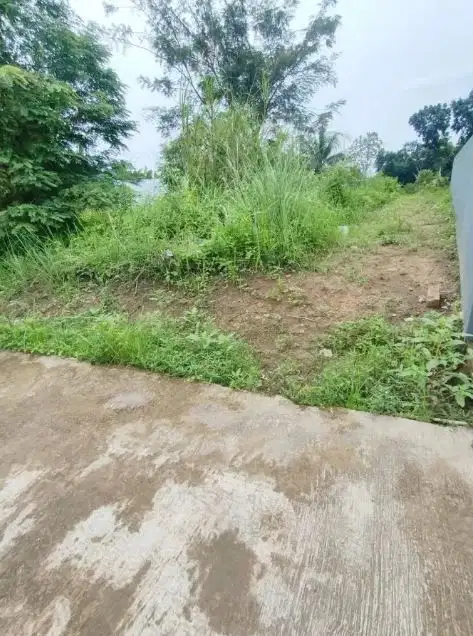 BUTUH UANG! Tanah 125m² Dekat UNNES Cuma 215 Juta! Murah Banget INI!
