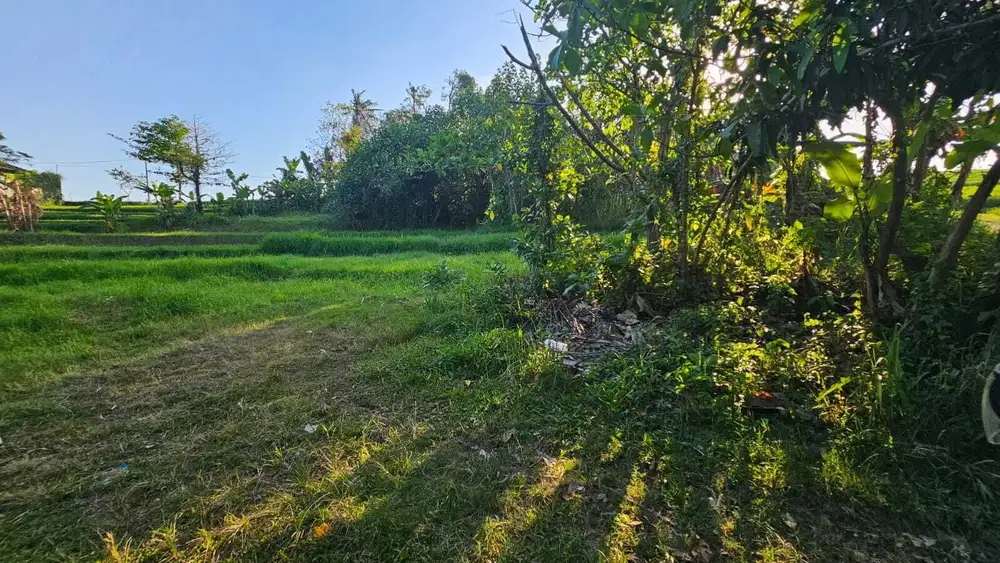 Dijual tanha komersil lingkungan villa lokasi nyanyi tanah lot