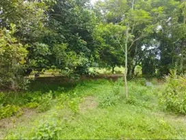 Dijual Tanah Luas di Ragemanunggal Setu Bekasi