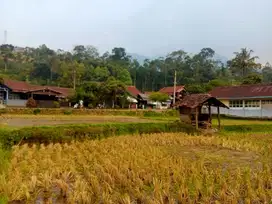 TANAH SAWAH PINGGIR SUNGAI DEKAT RSUD TURUN HARGA