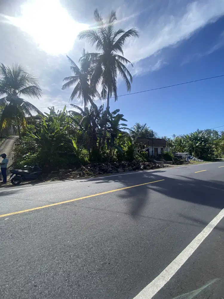 Jual tanah selemadeg view laut biru