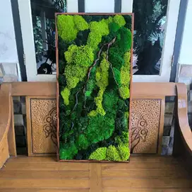 Mosswall / lumut abadi