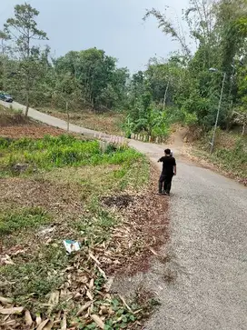 Tanah murah nol jalan