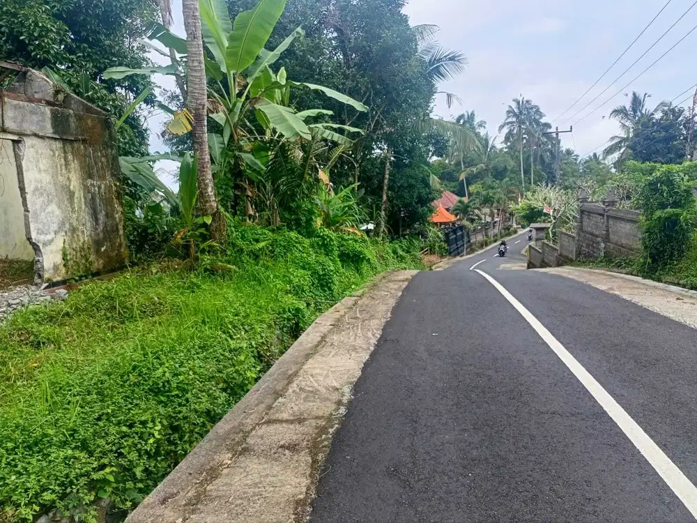 Dijual tanah kebun tabanan selemadeg dekat pasar bajera