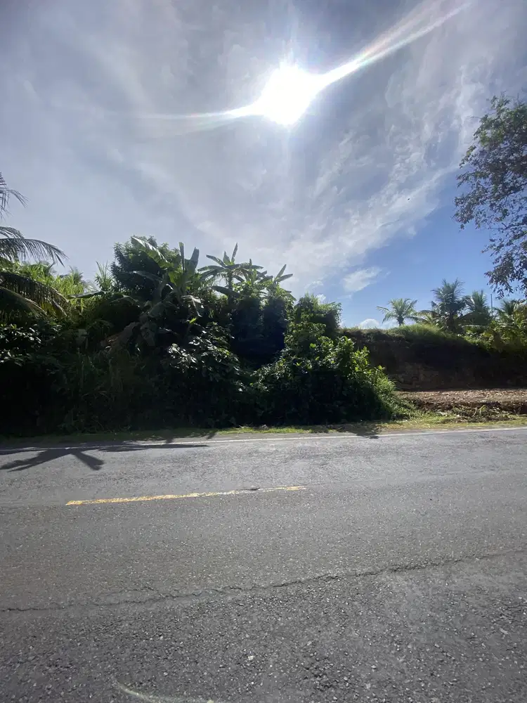 Jual tanah view laut selemadeg tabanan