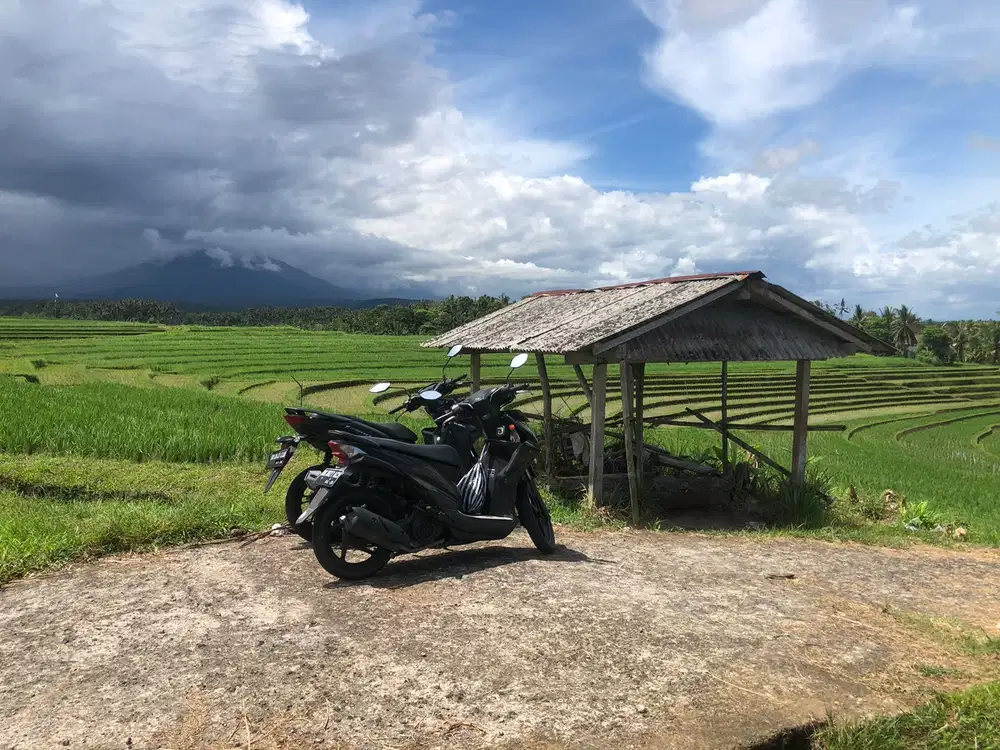 Dijual Tanah selemadeg bagus buat investasi 1km ke jalan provinsi
