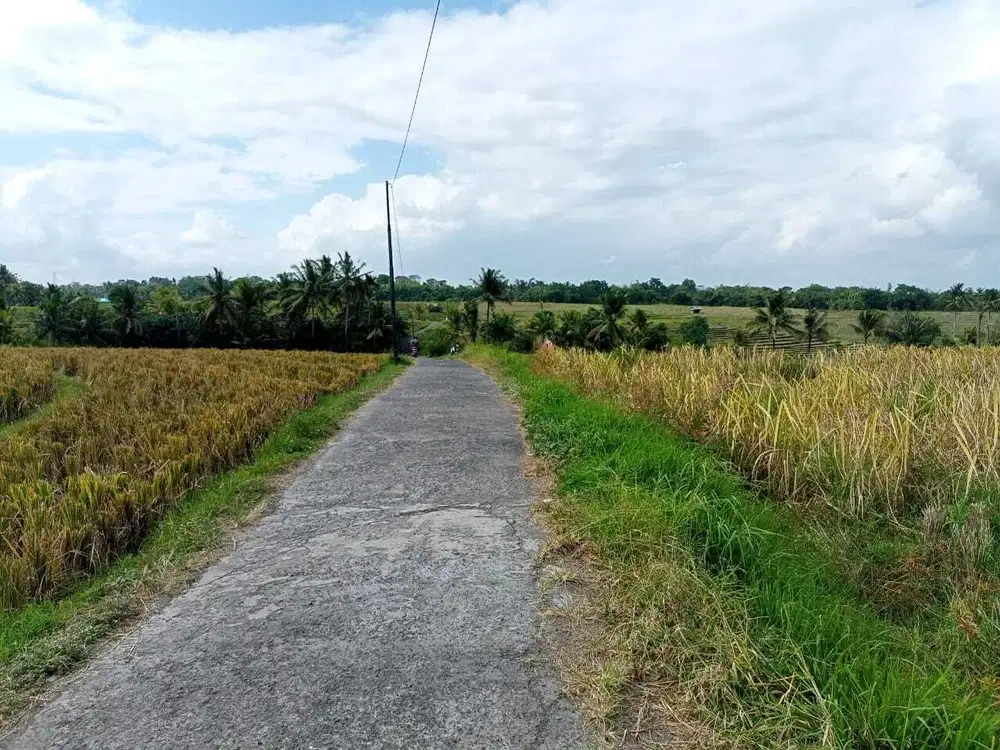 Dijual tanah  tabanan selemadeg dekat exit tol tabanan soka