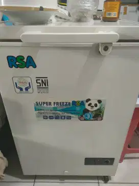 Freezer 100 L RSA