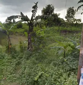Tanah zona kuning Wonorejo Karanganyar cocok untuk perumahan