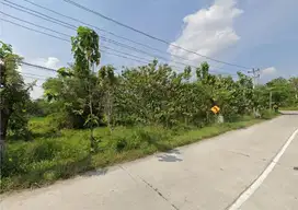 Tanah zona industri akses jalan provinsi Nguter Sukoharjo