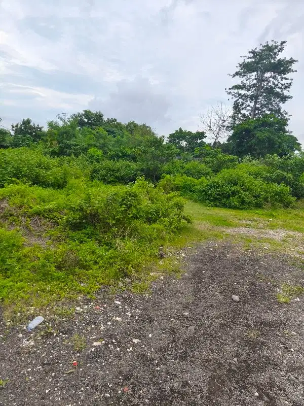 tanah kawasan GWK ungasan Badung Bali