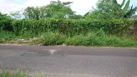 Mangku Jalan Aspal, Tanah Murah 200m dari jalan Godean