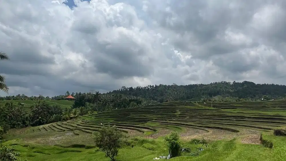 Tanah luasan kecil dengan view sawah terassering di tabanan