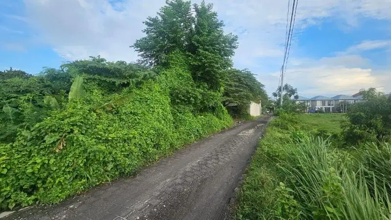 Tanah Pantai Batubolong Canggu Badung