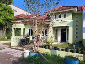 Rumah siap huni cluster pinus regency sokarno hatta