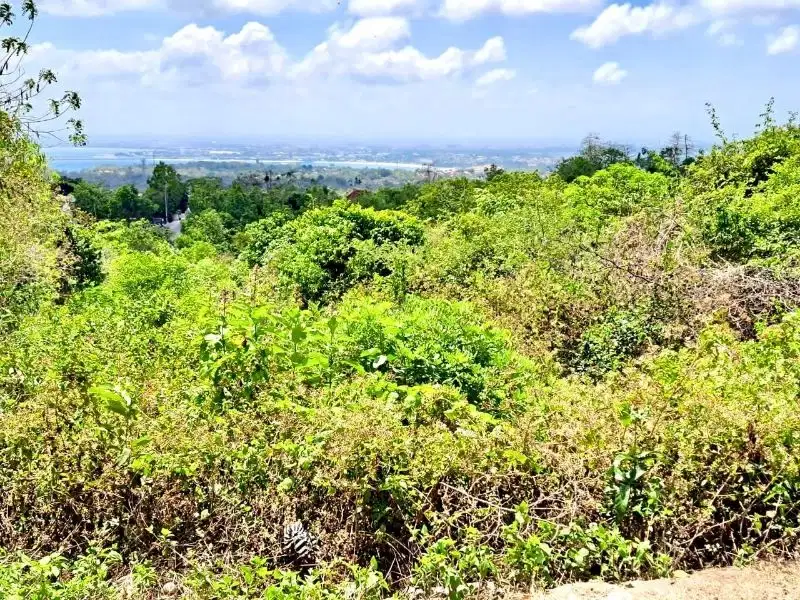 Tanah View Laut Ungasan Bali