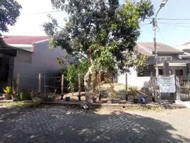 Tanah Luas 217 di Bunga2 Kalpataru Cengkeh Suhat Potensi Rumah / Kost