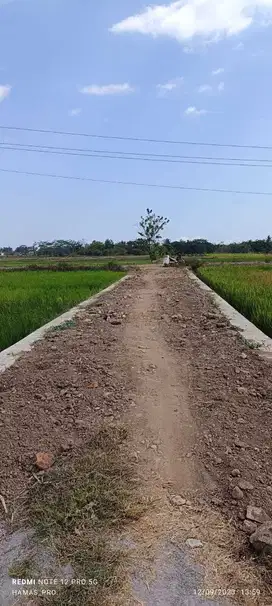 Tanab sangat startegis cocok untuk perumahan area moyudan