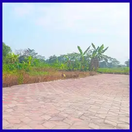 Dijual Tanah Jogja Timur Pasar Rejodani Palagan