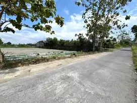 Tanah Pekarangan Murah Sleman Jogja, Tepi Jalan Aspal