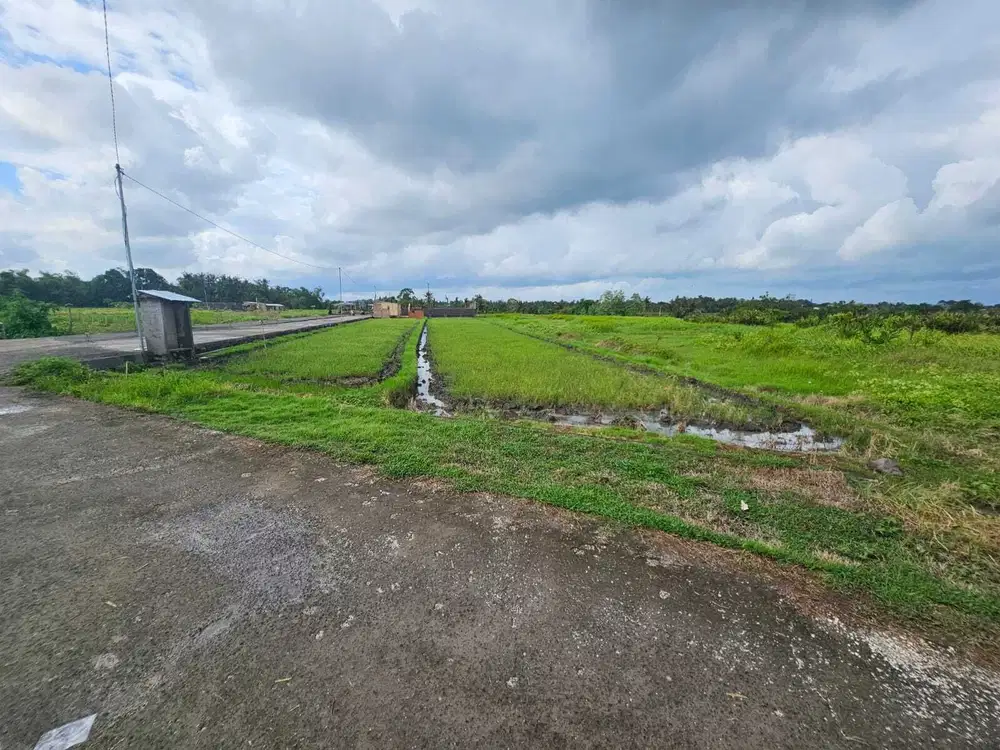 Tanah pantai kedungu tabanan