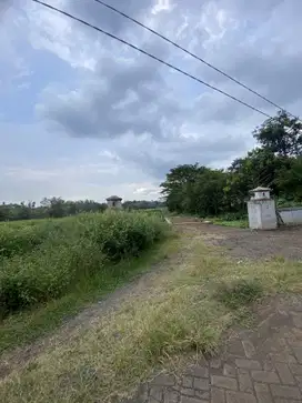 Jual tanah kejayan luas 25h satu pemilik