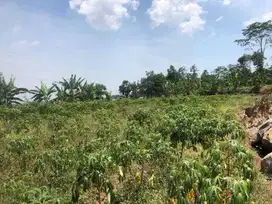 TANAH SHM 5421 LAWANG MALANG ARAH KEBUN TEH