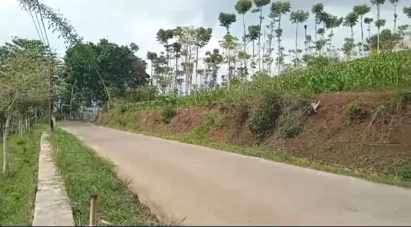 Tanah darat zona kuning,  Arjasari kab.bandung