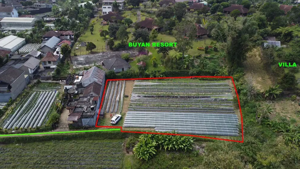 Tanah Perkebunan View Danau Pancasari Bedugul Buleleng Bali