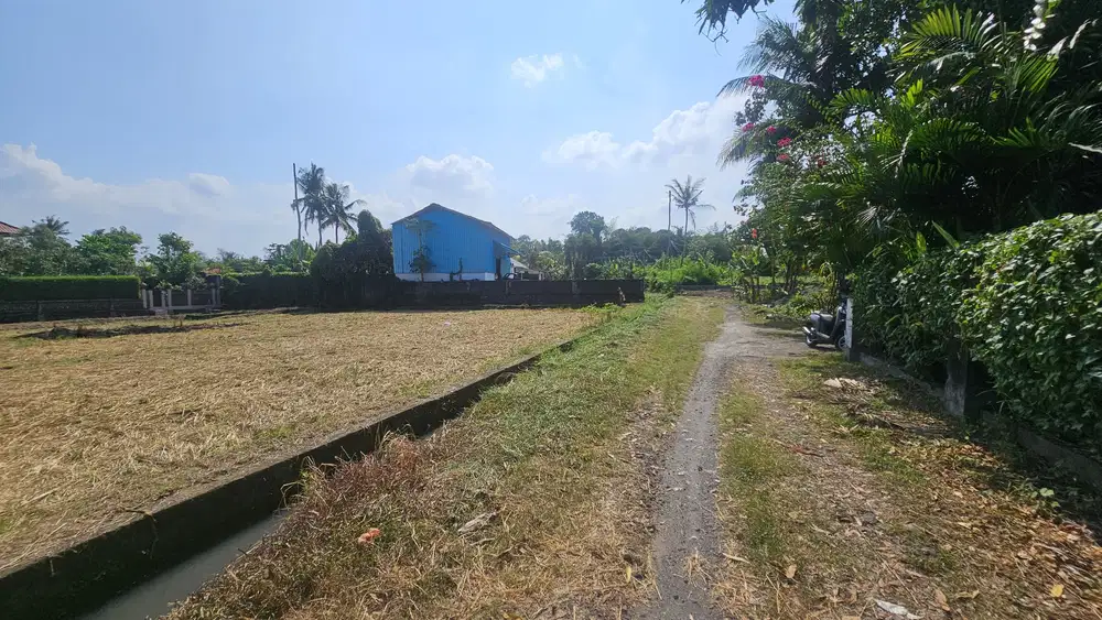 Dijual tanah komersil lokasi pasut