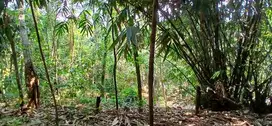 jual tanah di Ciseeng Bogor barat