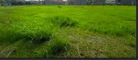 Dijual 2 Kavling Gandeng Siap Bangun di Cluster My Home Lippo Cikarang