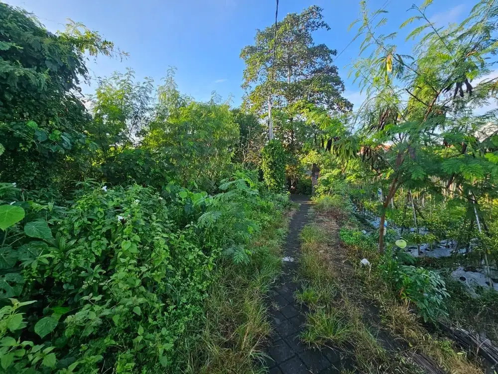 Tanah babakan Canggu Kuta Utara Badung
