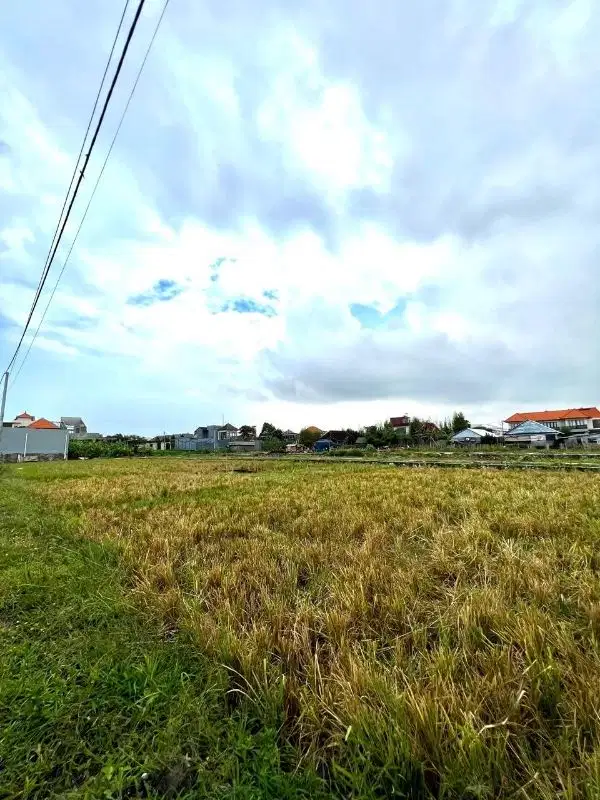 Tanah View Sawah Kedampang Kerobokan Badung