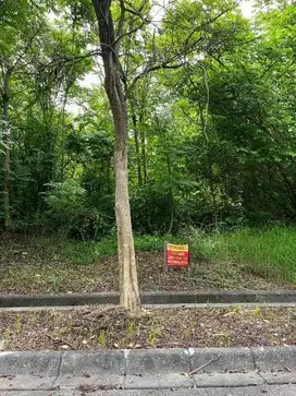 Dijual Kavling Taman Simpruk Lippo Cikarang, 600m² Hanya 4 Juta/m²!
