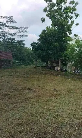 Tanah kavling lokasi Kandri cocok untuk usaha Kos