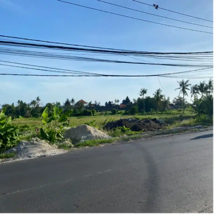 sewakan tanah canggu 6are 27jt/th/are