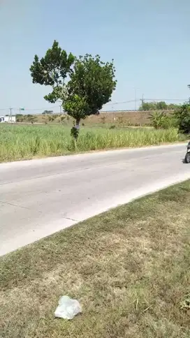 Di jual tanah raya canggu dkat tol