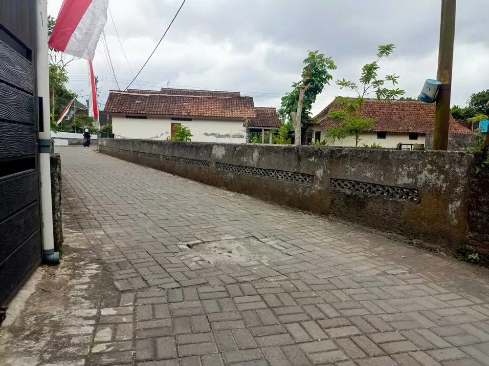 Tanah pekarangan cocok untuk hunian lribadi gito gati