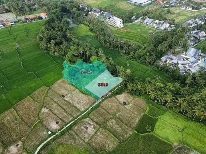 Tanah View Sawah Lodtunduh Ubud Gianyar