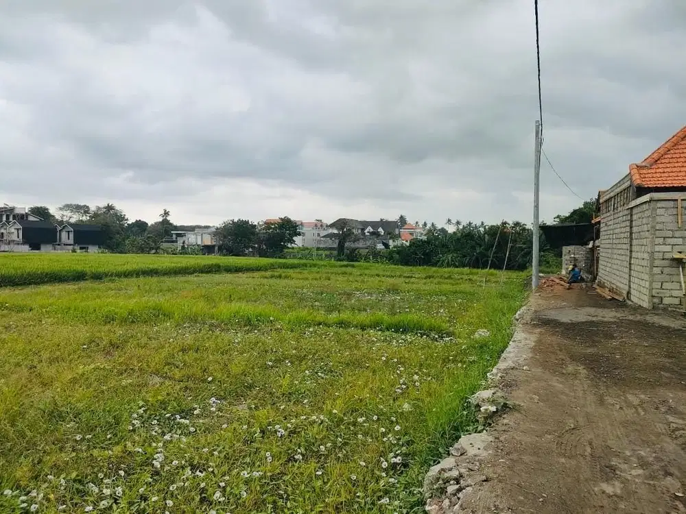 Tanah Pantai Seseh Mengwi Badung Bali