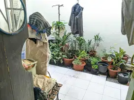 Dijual Rumah Murah dan Strategis di Komp Pemda DKI Jakarta Timur