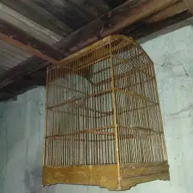 Kandang kotak no.1