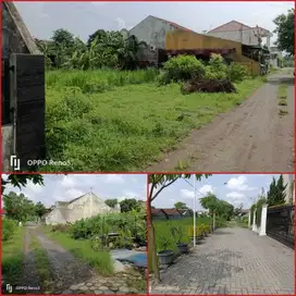 Tanay myamqn dan asri cocok hunian wiyoro banguntapan