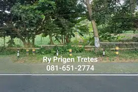 Tanah di Tretes