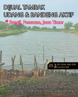 TAMBAK Udang Vaname Ikan Bandeng Aktif Bangil Pasuruan Jawa Timur