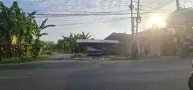 Dijual Tanah Raya Menganti Gresik