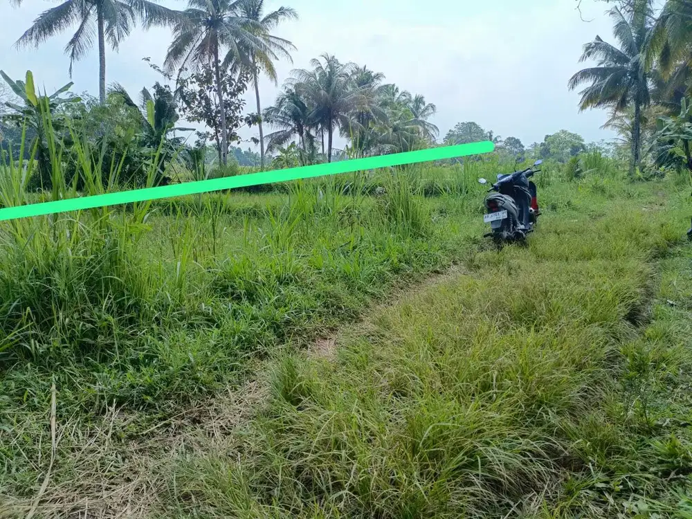 Tanah jln palagan  ngaglik Sleman
