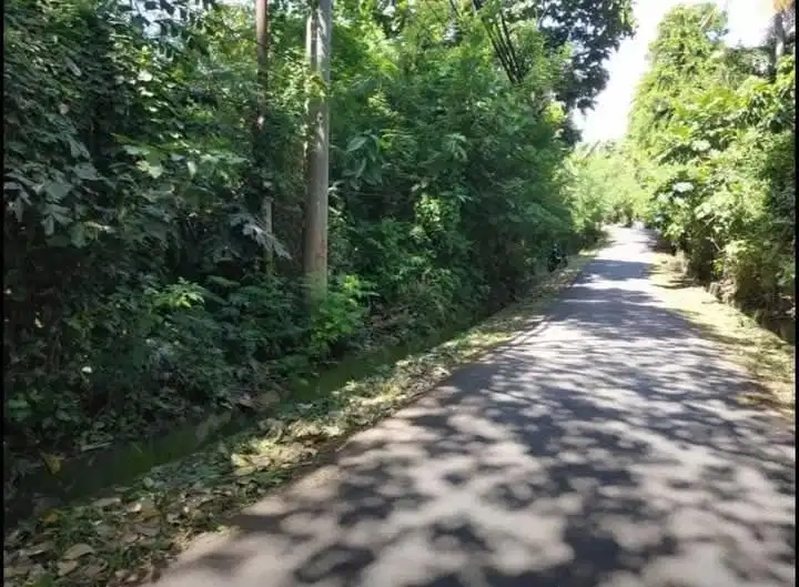 Jual tanah pering blahbatu gianyar dekat pantai